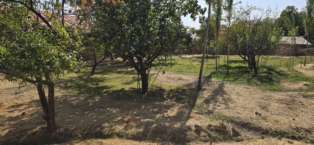 Продам 12 сот Земля для Дача Октош Сойлик Кфй Орен-т Янги Чойхона 500м