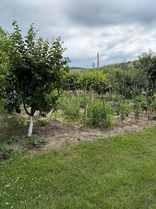 Casă de vânzare Racoviteni