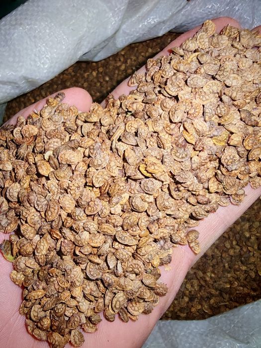 Доставка есть по городу