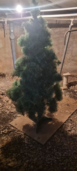 Продам искусственную сосну