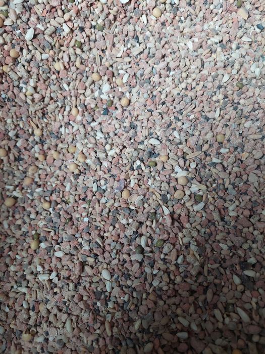 Amestec Porumbei/Top Mineral Mixt