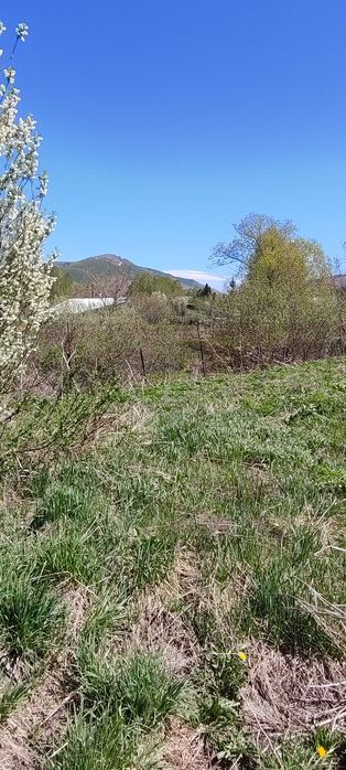 Продам участок в Топихе 25.45 соток