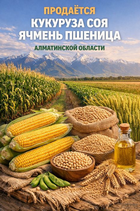 Продаётся кукуруза