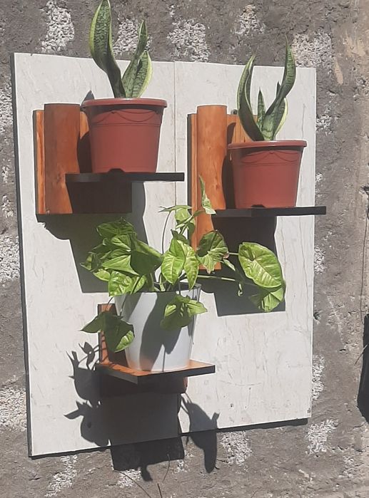 Настенные подставки для цветов из дерева