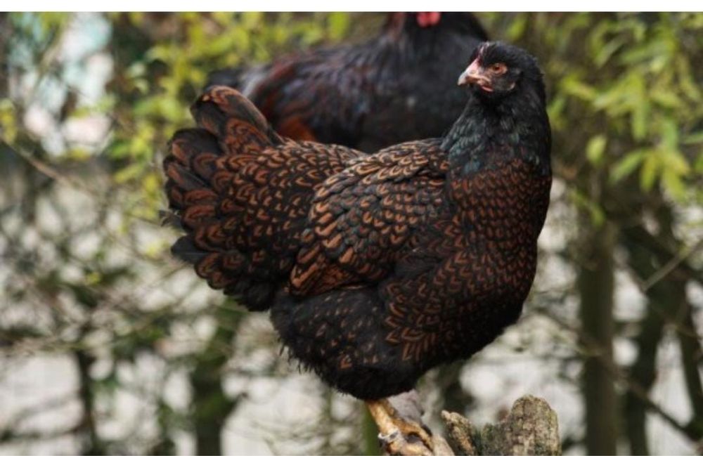 Продам готовый бизнес