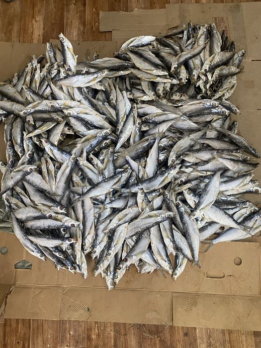 чехня рыба сушенное