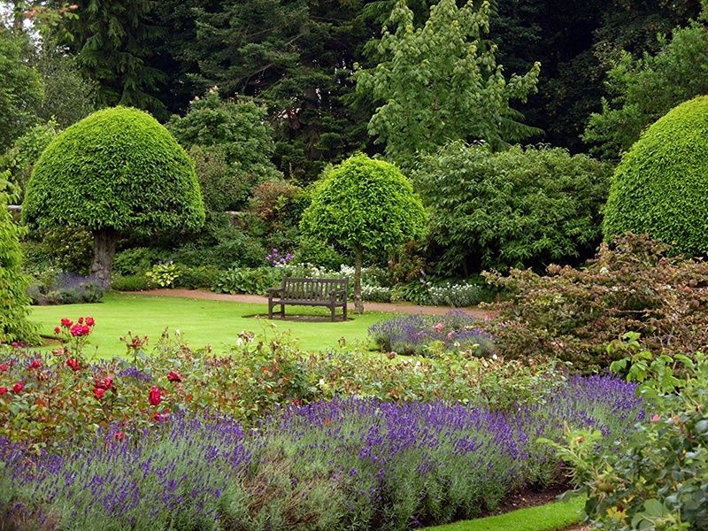 Садовник Богбон. Дезинфекция против тли оброботка ширага карши дорилаш