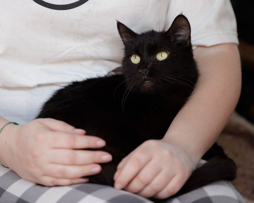 Бесплатно кошечка девочка Зефирка