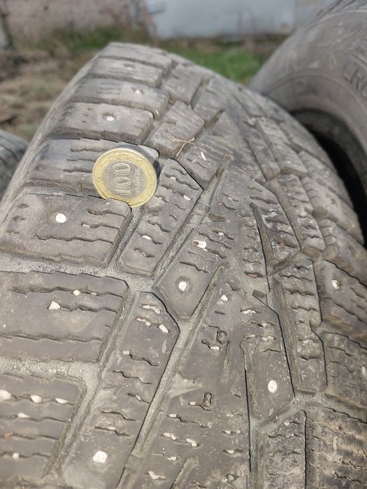 Шины.   Кардиант