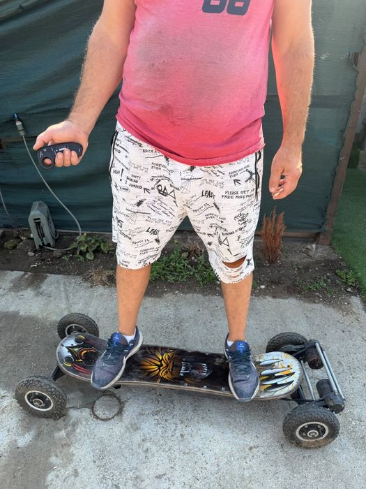 Skateboard electric
