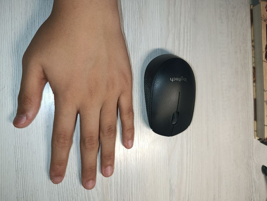 Компьютерная Мышь Logitech M170
