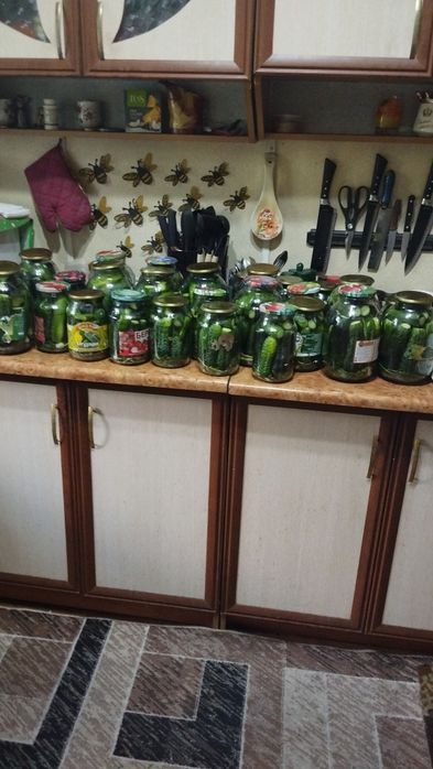 Продам солёные огурцы!