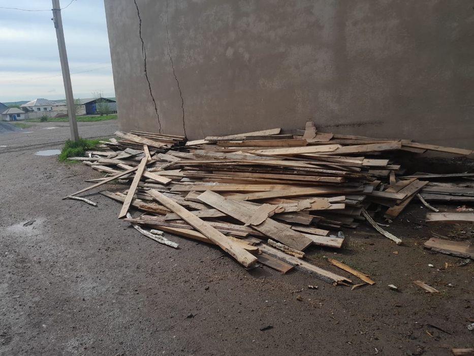 Ағаштар бар       .