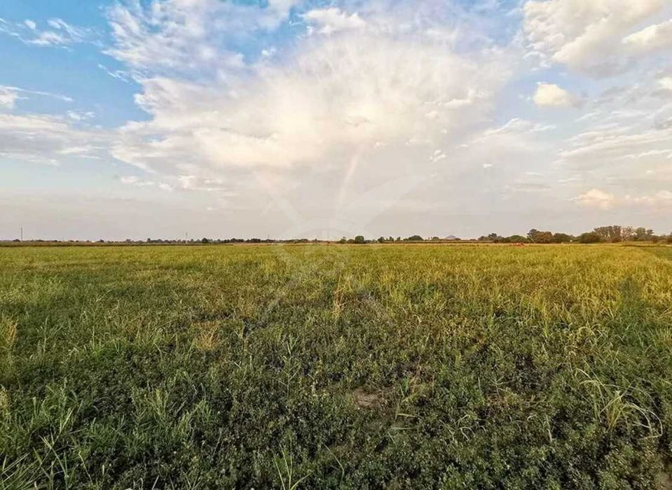 Продава се Парцел в с. Златитрап, Област Пловдив - 10540 кв.м за 27 €/кв.м - Снимка #2