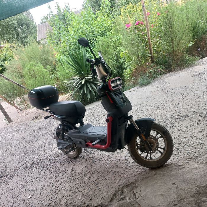 sukuter dugali yaxshi xolat