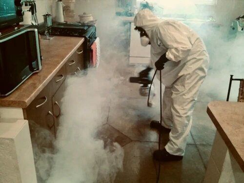 Дезинфекция Дезинсекция Деротизация Dezinfeksiya