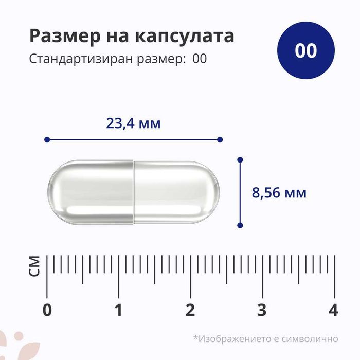 Лутеин + зеаксантин за подпомагане на зрението АКЦИЯ ТОП ЦЕНА