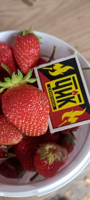 Продам дачу в чистом районе.  Трасса остановки.