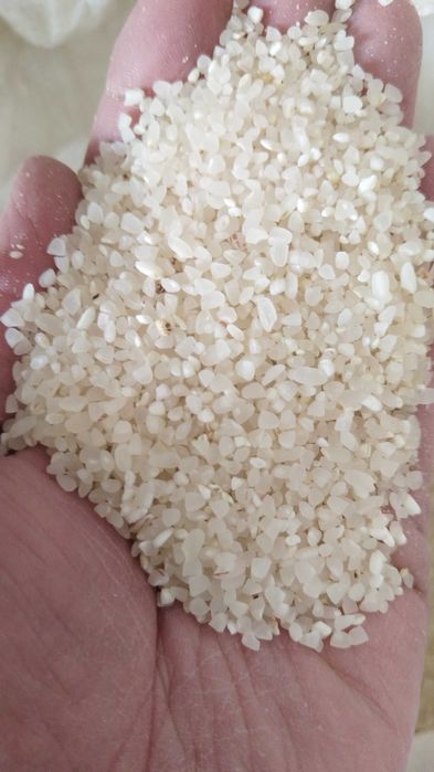 Дән дақыл күріш сечкасы