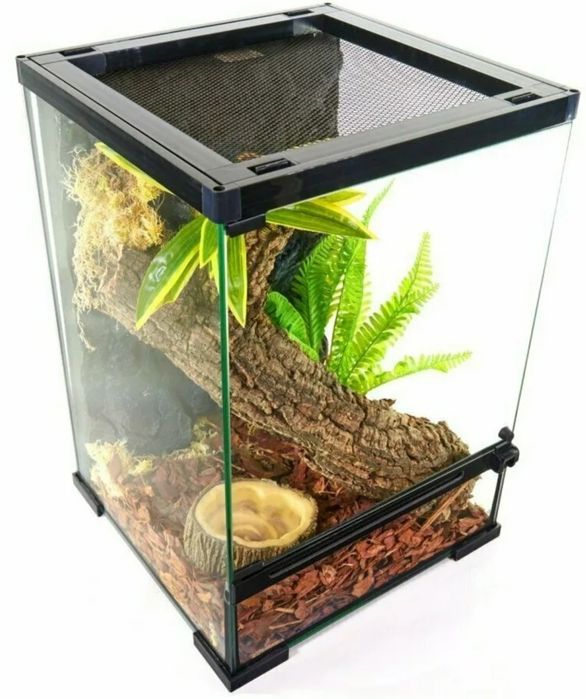Террариум все включено