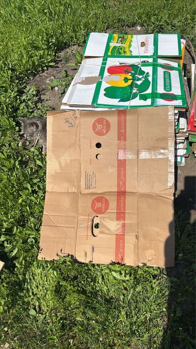 Каропка для огурцов буу