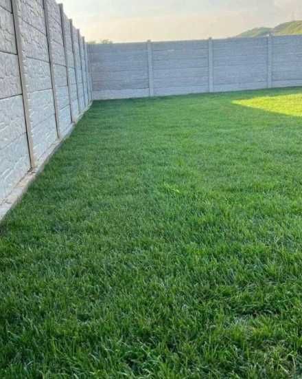 Sisteme de irigatii si Gazon Rulou