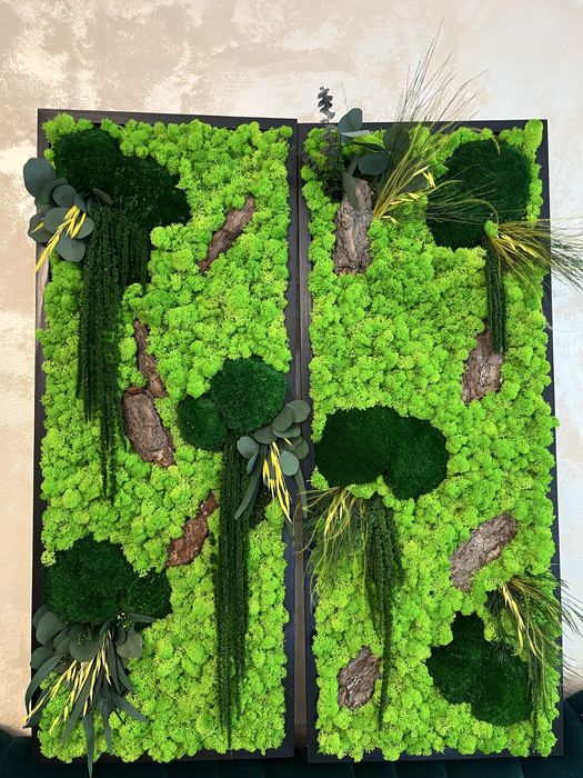 Tablouri cu plante naturale stabilizate,licheni , muschi