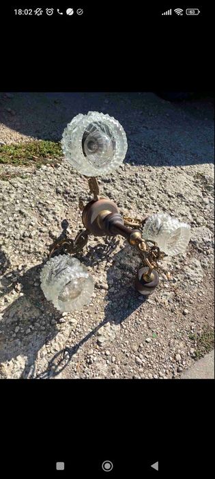 Полилей - 4 вида