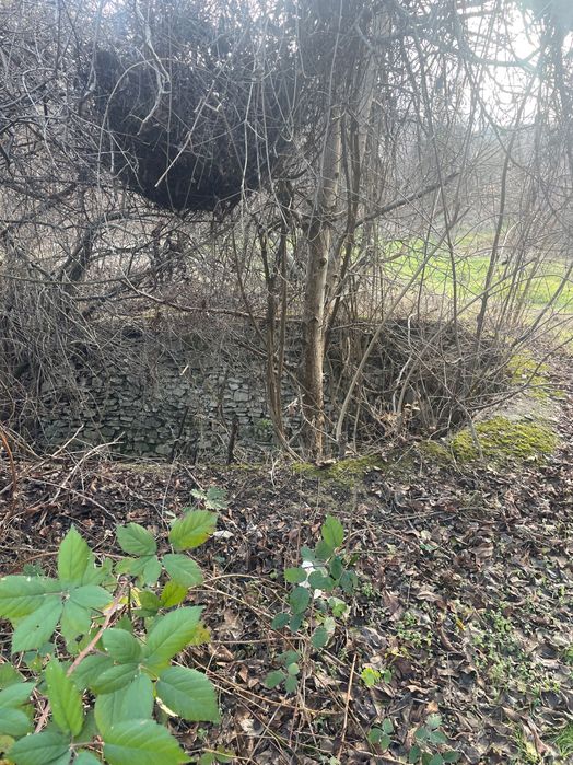 Собствени съседни терени в с.Крушуна над Водопадите и до селото-Асфалт