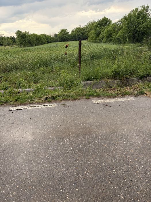 Teren intravilan Husasău de Tinca, Miersig, 1200 mp, la asfalt (25 min de Oradea)