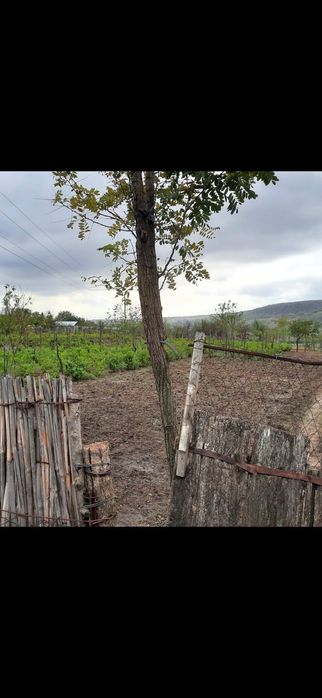 Vand loc de casa sat ijdileni