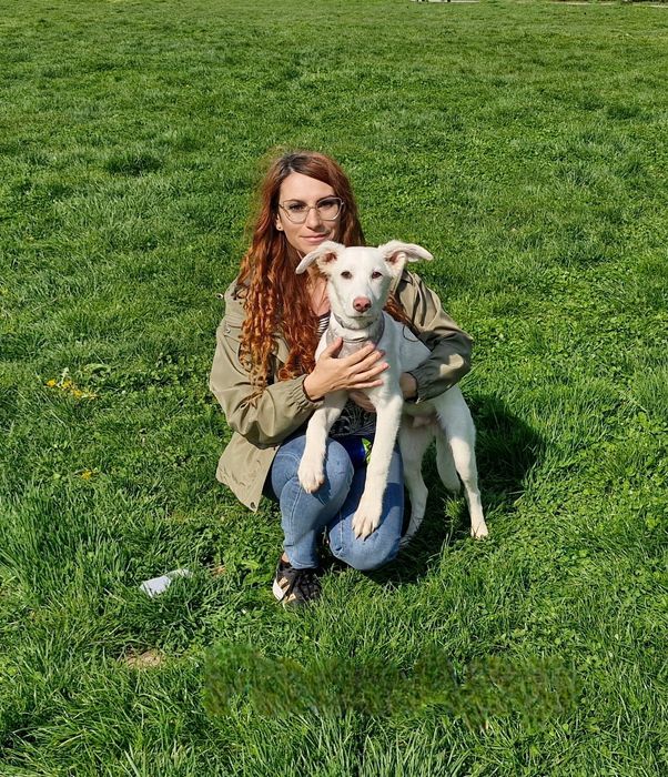 Pet sitting la domiciliu & plimbări câini – București | Paw Walks & Purrfect Care