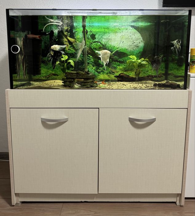 Acvariu 200l complet