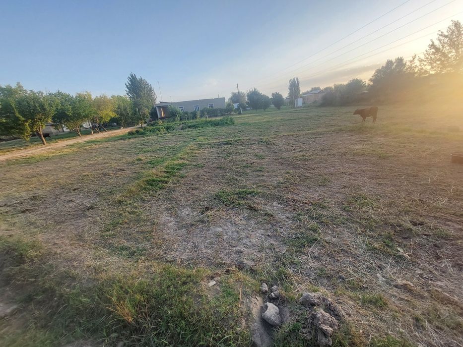 Коракуль тумаида тез ва арзон 20 сотикли йер майдони сотилади