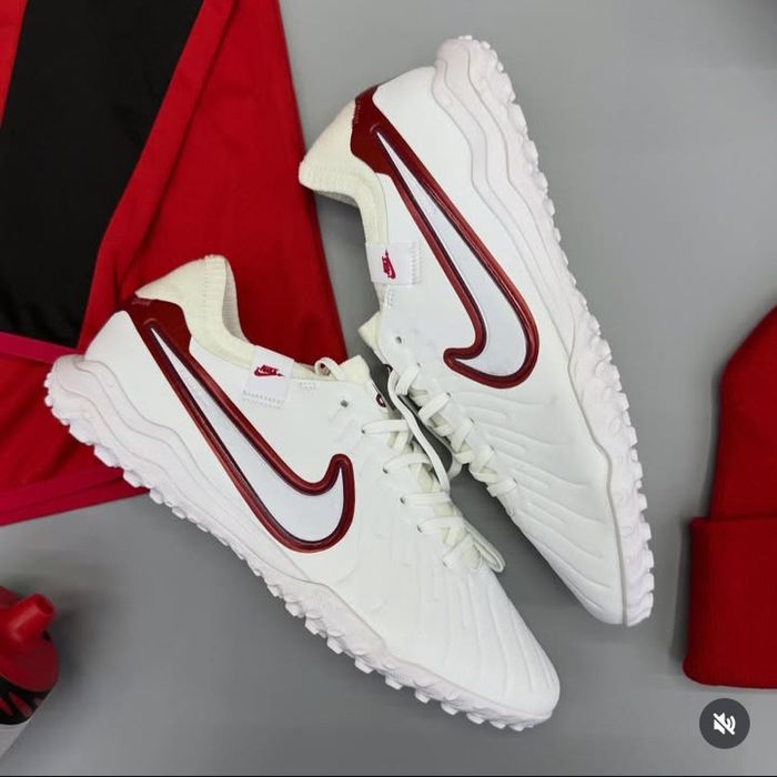 Сороконожки, профессиональные