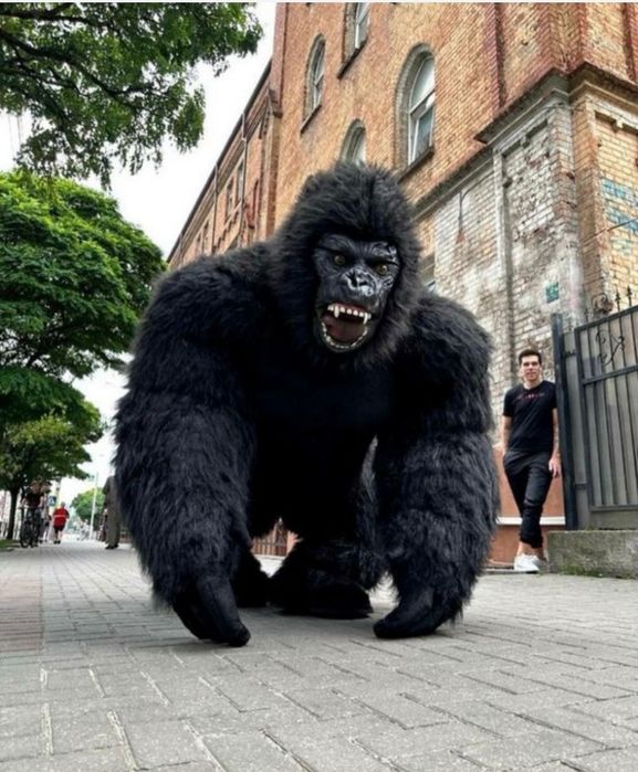 Прокат Аренда Аниматор 5000тг