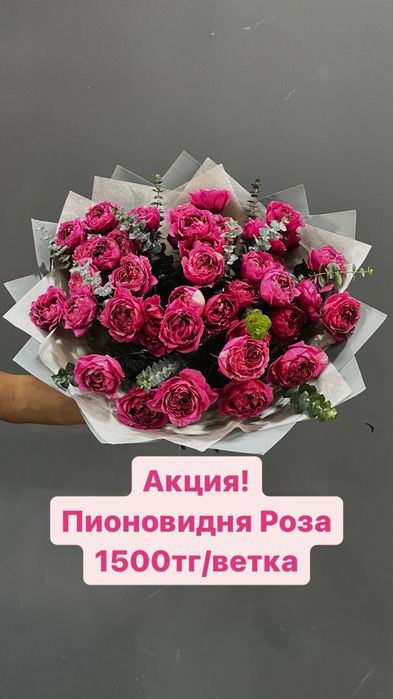 Пионы розы гортензии