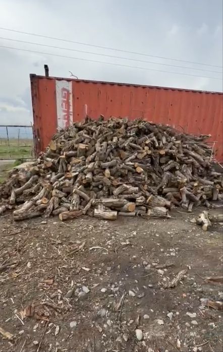 подготовленные сухие дрова для шашлыка,баня
