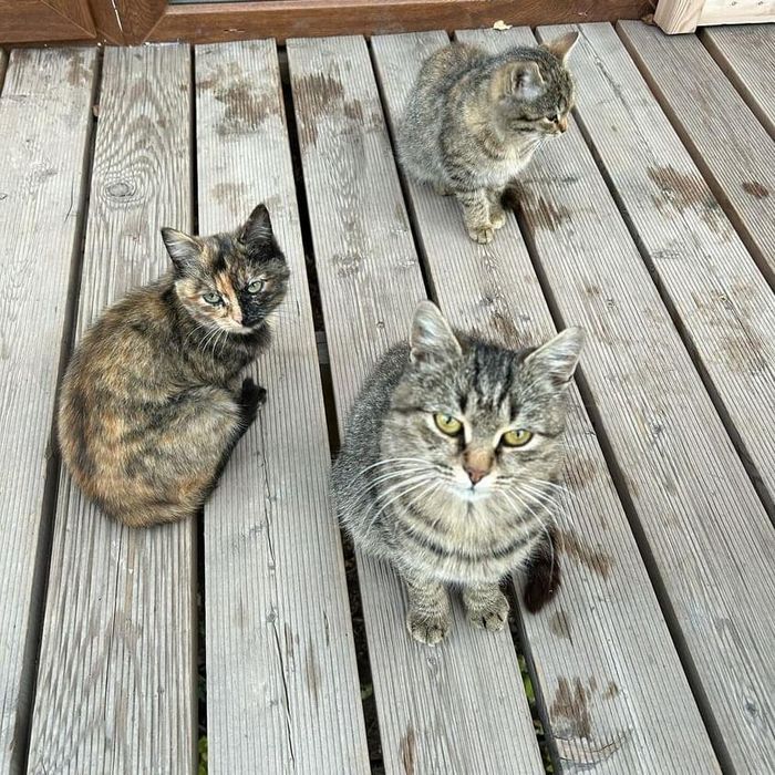 Уютный домик для двоих в горах