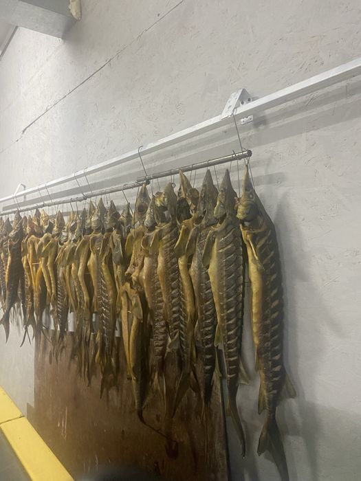 Осетр копченый цена 12000 за 1 кг