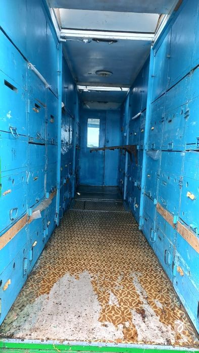 Пасика пчелоповелион