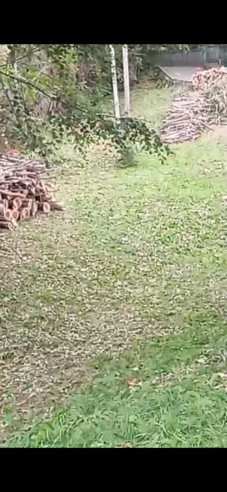 Defrișări  terenuri