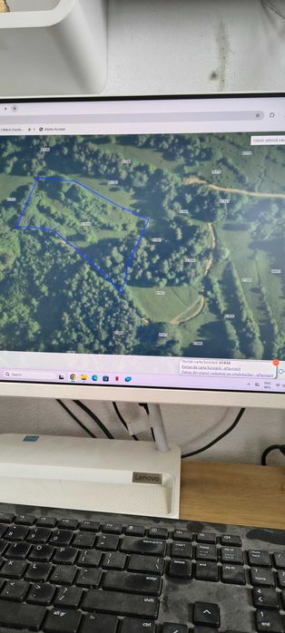 7454 m2 Teren cu drum de acces pietruit in padure