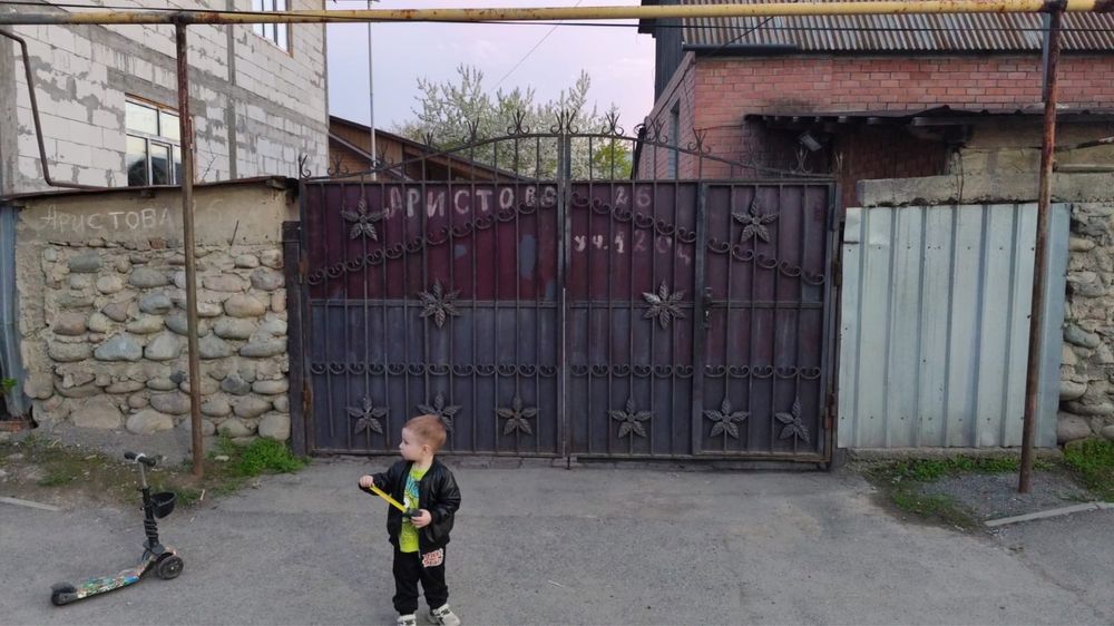 Ворота металлические распашные, 3.80