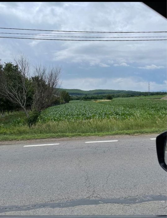 Teren Intravilan Targu Neamt la șosea