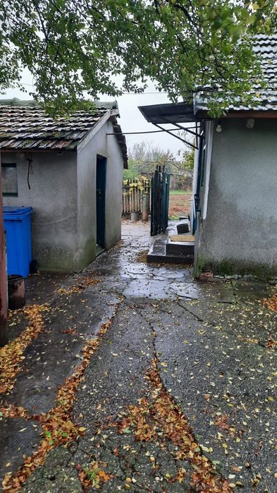 Casa sat Ciobanita, jud. Constanta (4000mp teren)