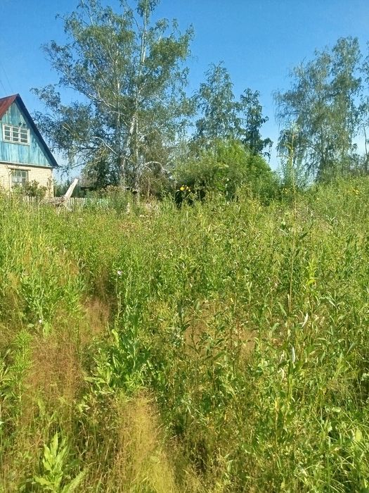 Дачный участок продам