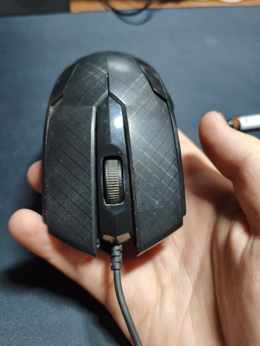 Мышка для компьютера