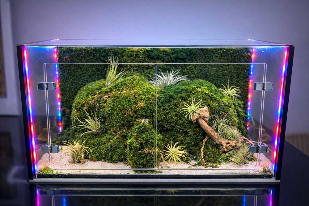 Terariu cu plante aeriene, mușchi si licheni stabilizați LED