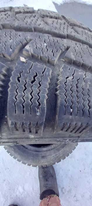 Шины лепучка Cordiant